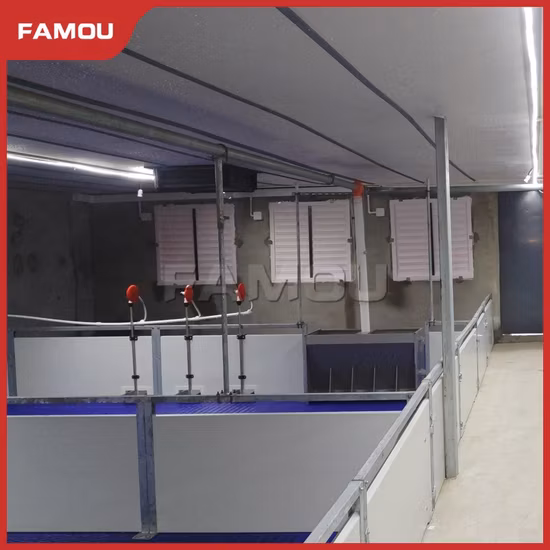 Kunststoff-Bodenlatten für Schweinefarmen, Geflügelfarmen, Kunststoff-Bodenlatten