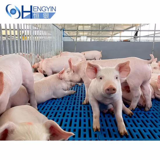Kunststoff-Bodenlatte für Schweinefarm-Kinderzimmer zu verkaufen