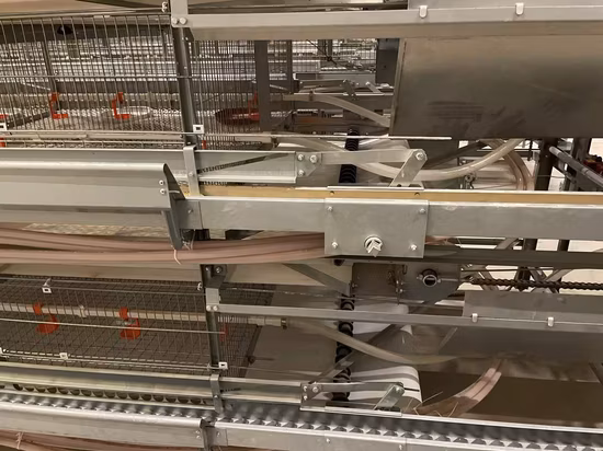 Automatisches Legehennen-Geflügelzuchtgerät, Batterie-Hühnerei-Lagenkäfigsystem