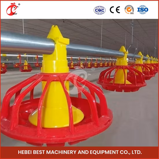 Bestchickencage Broiler-Tiefstreusystem, kostenlose Probe, China-Futterpfannen-Design, Bodenerhöhung, Tiefstreusystem-Fabrik